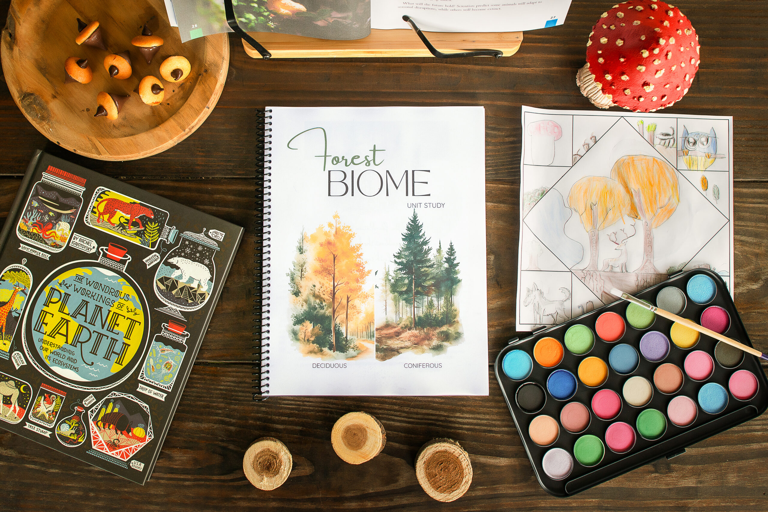 Exploring the Forest Biome